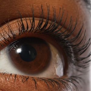 Lash Sculpt Lengthen and Lift Mascara - Bajo Pedido