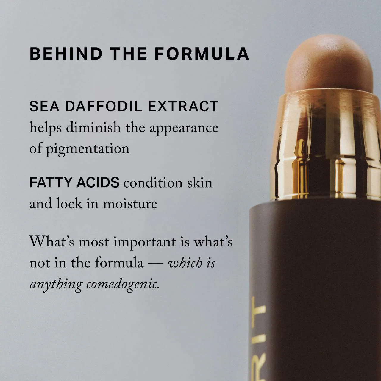 The Minimalist Perfecting Complexion Foundation and Concealer Stick - Bajo Pedido - Imagen 5