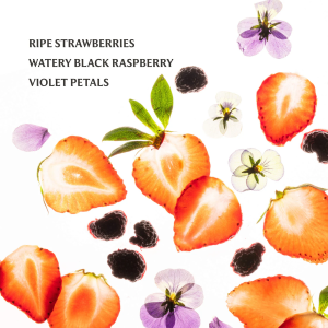 Sparkling Bliss Limited Edition Body & Hand Mist Essentials Set - Bajo Pedido