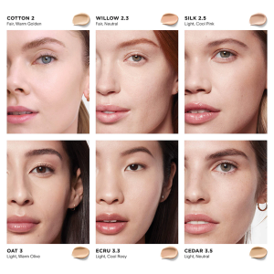 Vanish Airbrush Concealer