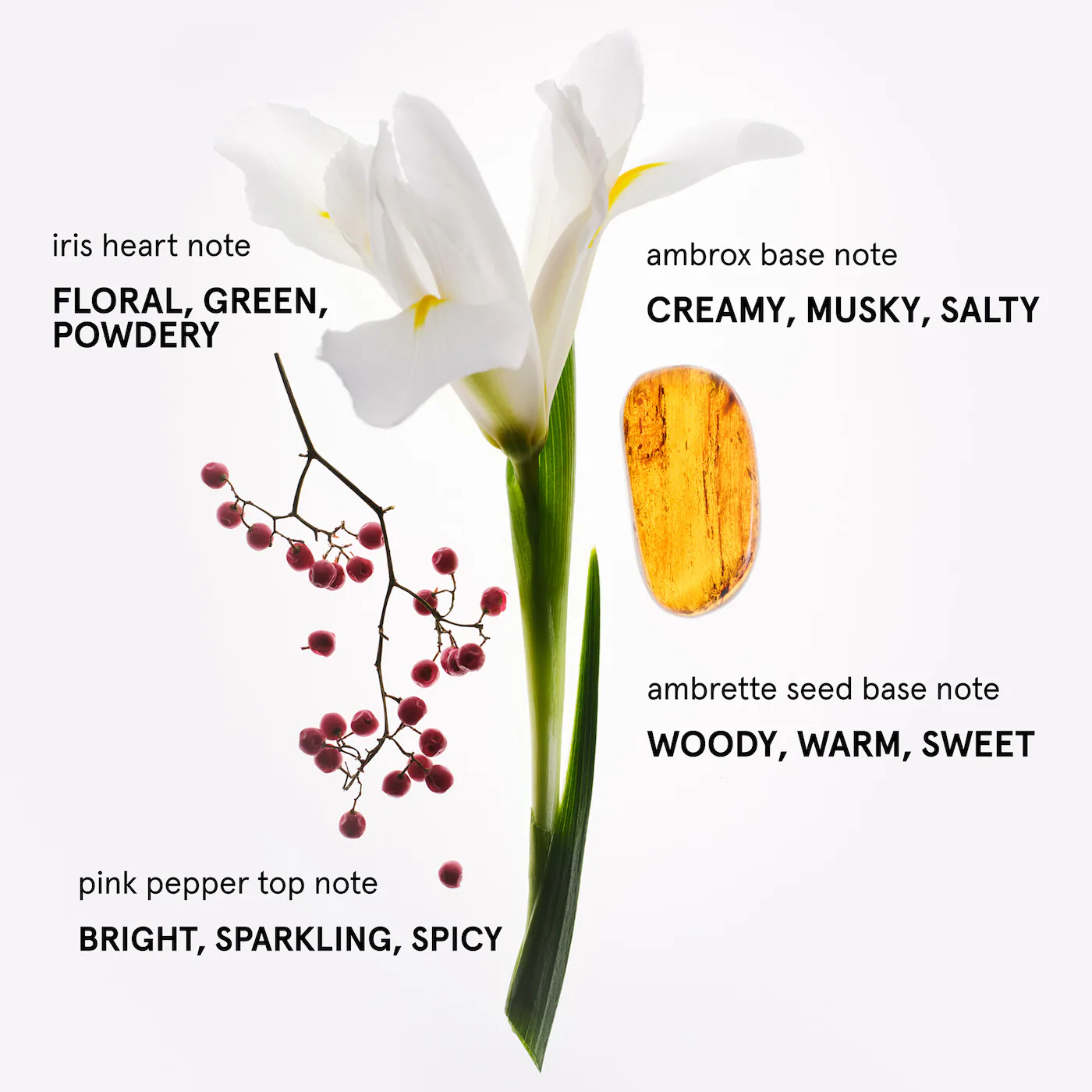 Glossier You Duo Perfume Gift Set-Bajo Pedido - Imagen 4